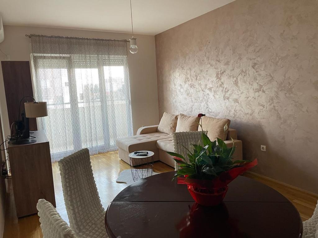 Naki Apartmani 波德戈里察 外观 照片